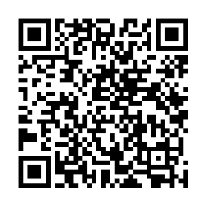 我是绝不相信有人能独自将炼器术修炼到登峰造极的程度二维码生成