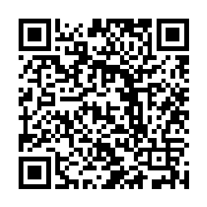 我是菲菲的表哥……你要是敢动手……你会倒霉的……二维码生成