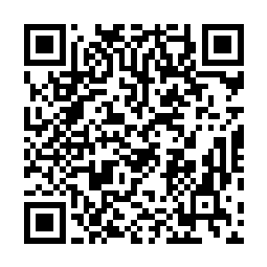我曾在宗门的一本残破的典籍之中看到过一些散碎的记载二维码生成