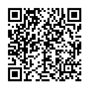 我曾经不止一次看到一辆辆大卡车深更半夜从你的院子里开出去二维码生成