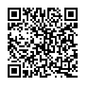 我曾经听我爷爷的爷爷说过……如果有人杀了咱们龙族族长二维码生成
