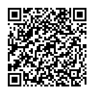 我最羡慕的还是梦境之森的加成和姬尔的环境改造能力――既然不能选择战场二维码生成