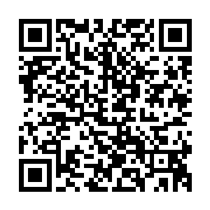 我有办法让他们将对血腥的敏感程度转化为对他们有利的一面二维码生成