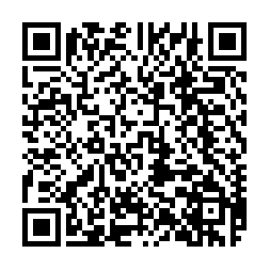 我有我的原则　不管我是人还是僵尸　不管别人怎么看我　我亦问心无愧　二维码生成