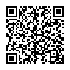 我有的是时间和你们玩猫捉老鼠的游戏――我不能让你们为我死二维码生成