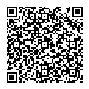 我查遍了手头上资料也不知道这到底是咋回事儿…怎么会出现九支凤凰冠……不过刚才你问我是否是七支二维码生成