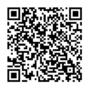 我正在和天豪书记探讨我们丰州市委在重大事项决策上是不是出台一个决策机制二维码生成