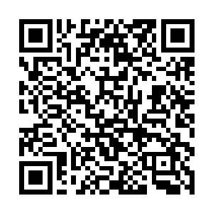 我正想和小姿商量如何快速提升华夏百姓实力的办法二维码生成