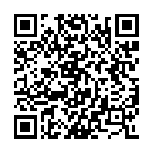 我没办法从你的嘴里得到任何我想要的问题答案二维码生成