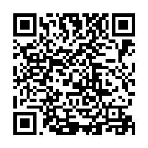 我没办法敞开心胸去走将来的路……这是我最后一次任性二维码生成