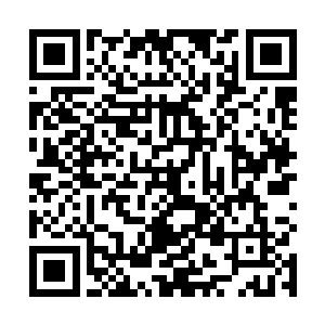 我没想到……没想到我们……的结局……会是这样……二维码生成