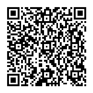 我没明白明明昨天晚上出现在窗户外面玻璃上的那张人脸的双眼已经在最后看到了澹台璃二维码生成
