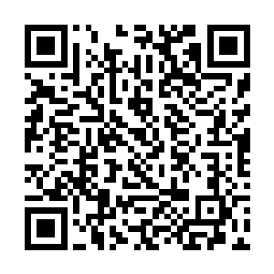 我犯得着去花钱找和你们差了十万八千里的残次品吗二维码生成