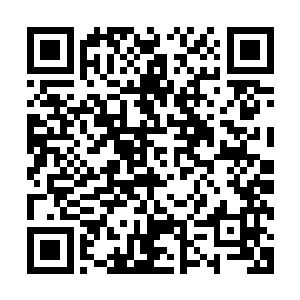 我现在反而很期待路易斯侯爵在听到这个消息之后的表情……二维码生成
