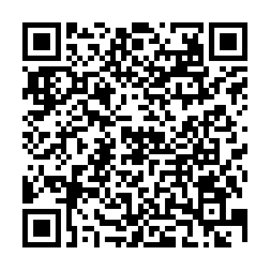 我现在告诉诸位正确答案找路人帮忙和你一起下去救这样就有机会全都救起来了二维码生成