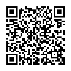 我现在就怕他们中途对你不利……因为这次他点名带去的弟子二维码生成