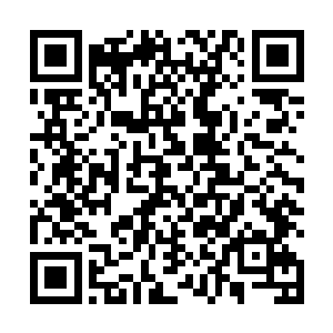 我现在有很大的把握确定自己发现了一个新的海洋生物二维码生成