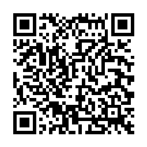 我现在都不敢肯定你有没有伸手去管你大姐的孩子……二维码生成