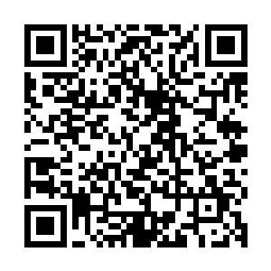 我现在都在开始怀疑你是不是真的是从上界下来的天妖族妖王了二维码生成