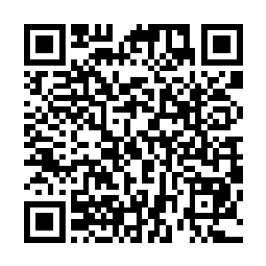 我甚至看到药老的手指硬生生的将围栏的木板都捏得凹陷了二维码生成