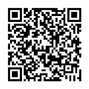 我留在你们身上的力量足够让你们在血之大封禁中自由行动~二维码生成
