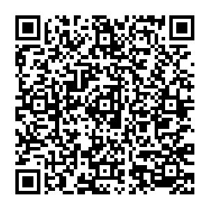 我的亲笔签名书＋纨绔特别定制的q版时光宝石＋我亲手写的经典语录签名明信片――恭喜获奖的两位亲二维码生成