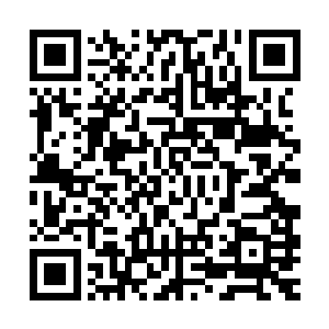 我的前身重新感知到了庞大数据和信息浪潮冲刷身体的美妙滋味二维码生成