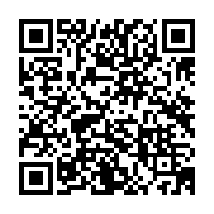 我的孩子……你终于走到这一步了……我们一直在注视着你……二维码生成