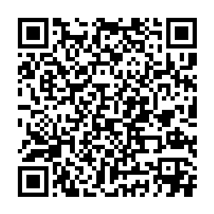 我的技能使用不了了……我被斩风团的人抓住抵抗的时候用过技能了二维码生成