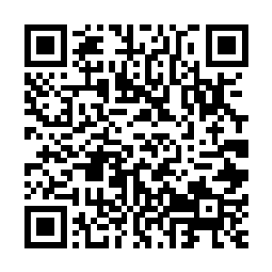 我的提议组员一起离开大部队肯定是惹了他不悦对我念念不忘二维码生成