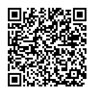 我的目的是等你们的实力提升了之后将这里的盗贼团全部清理干净二维码生成