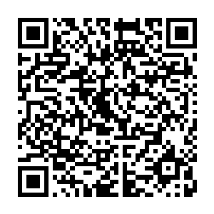 我的社交智慧不需要你明说也能猜得出来――不过你的演技其实还蛮不错的――二维码生成