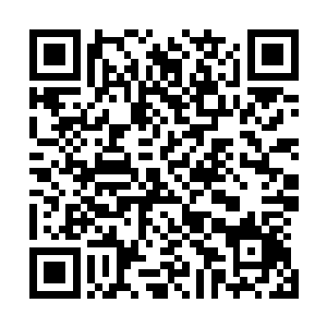 我的脑海中浮现出我和林奕在土坡前插了三根烟结拜的情景二维码生成