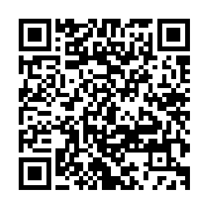 我的身体……天哪……这这……我我我……我痒死了……挠挠二维码生成