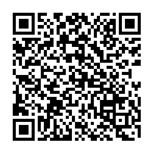 我的隐匿术连圣主和半步界王都难以察觉……你怎么可能会有这么敏锐的洞察力二维码生成