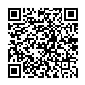 我相信作为主要领导他也会理解和支持自己副手的工作二维码生成