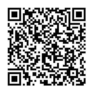 我相信我的观众――电视机前千千万万的女性观众都会为你的勇气和毅力二维码生成