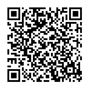 我相信祝家绝对不会为了两个不怎么重要的家族子弟大动什么干戈二维码生成