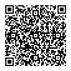 我看到一片乌云的阴影正好落在了熬蛟手中的怀表上面正好和怀表上的一根指针形成了一个夹角二维码生成