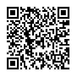 我看到消息的时候你已经从那个任务世界里出来了……二维码生成