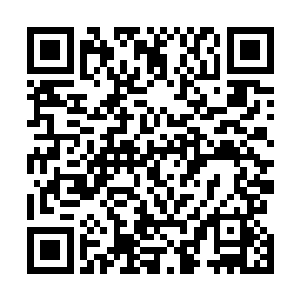 我看着宗宝死不承认的样子笑的忍不住的捂着自己的肚子二维码生成