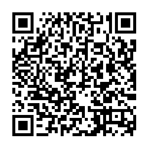 我看着屏幕里穿着病号服躺在病床上鼻子里还插着呼吸管的林家宝二维码生成