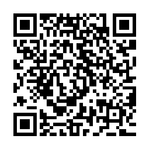 我看着跟刚才周亮吞下去一模一样的纸箱又有一个被拉了进来二维码生成