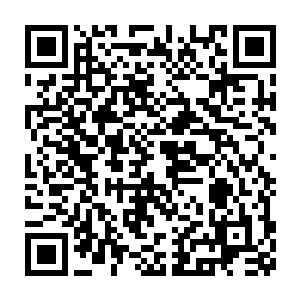 我看着长生手里再平常不过的一条水蛭实在不明白这有什么好问的二维码生成