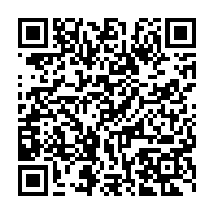我真的会怀疑你从头到尾都一直在偷窥我们的试验跟所有记录数据二维码生成