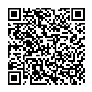 我真的已经很久没见到小姐露出这种完全跟外界绝缘一样的表情了二维码生成