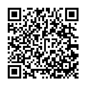 我真的很怀疑你们魔族的实力到底是不是像传说中的那么厉害二维码生成