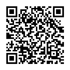 我知道你们一定会质疑为什么我断定王大海就是仇仲勋的化名二维码生成