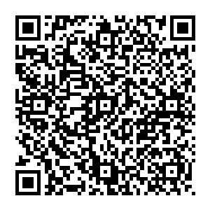 我知道你拿走了我唐门的暴雨梨花……可是你要是以为区区暴雨梨花加上你手上的这把枪就可以对付我的话二维码生成