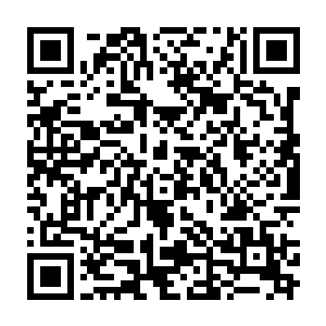 我确定我刚才从可隐身纸人存储的讯息里并没有看到有煞气和死气涌入这房间二维码生成